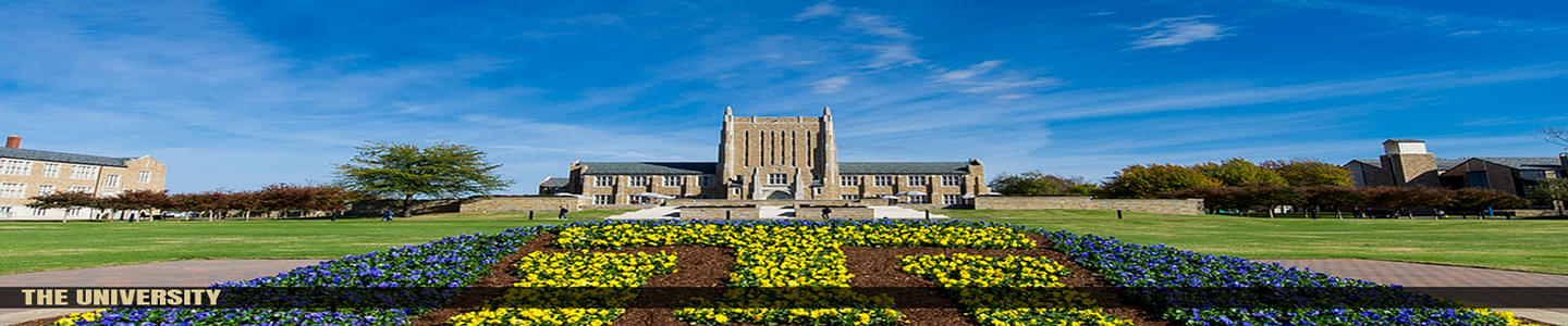 University of Tulsa banner